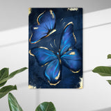 Blue golden butterfly